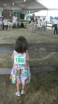 Little girl at fair