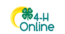 4H-Online button