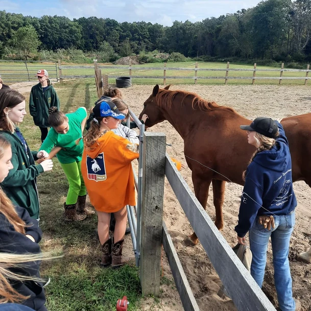 Hearts and Horseshoes members learn about horses