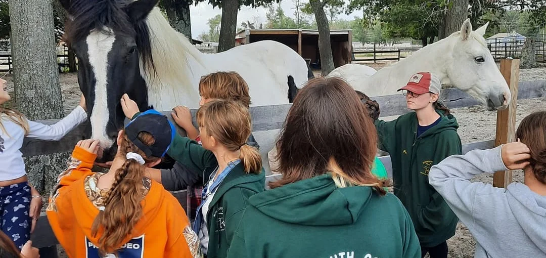 Horse and 4-H club